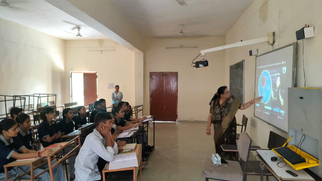 Collaborative Learning